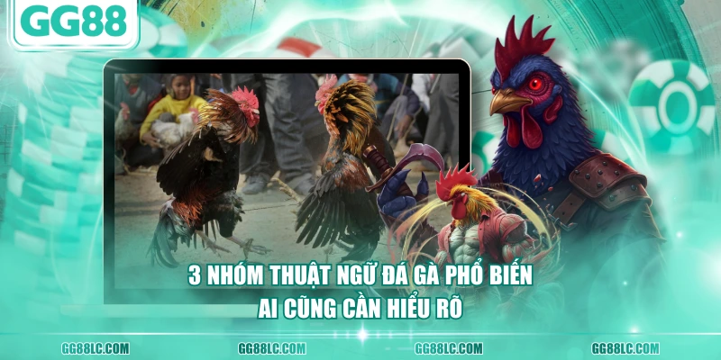 3 nhóm thuật ngữ đá gà phổ biến ai cũng cần hiểu rõ