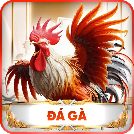 Đá Gà GG88 – Sân Chơi Đỉnh Cao Cho Các Tín Đồ Đam Mê