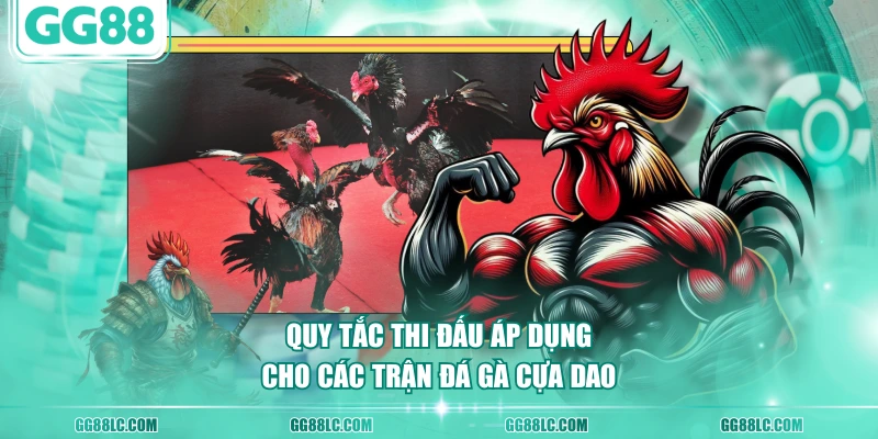 Quy tắc thi đấu áp dụng cho các trận đá gà cựa dao